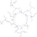 Thumbnail for version as of 10:08, 24 June 2025